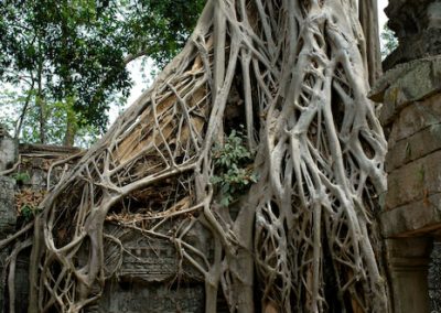 Cambodia