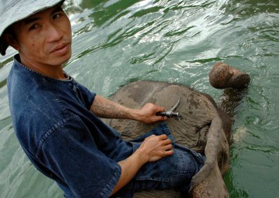 Laos