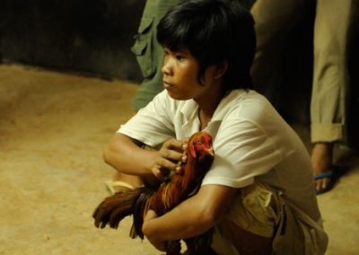 Chicken fighting - Cambodia