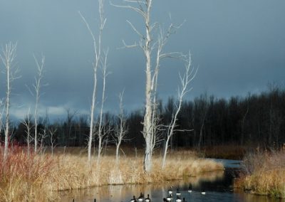 Canada