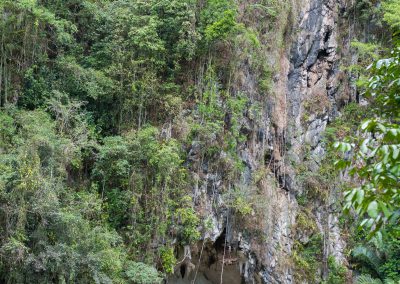 Tana Toraja