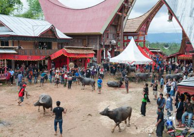 Tana Toraja