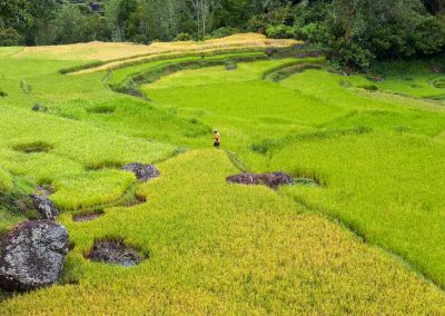 Tana Toraja