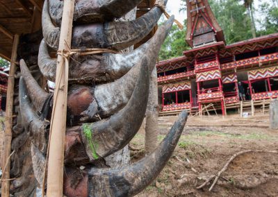 Tana Toraja