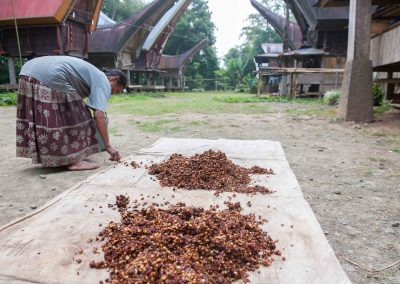 Tana Toraja