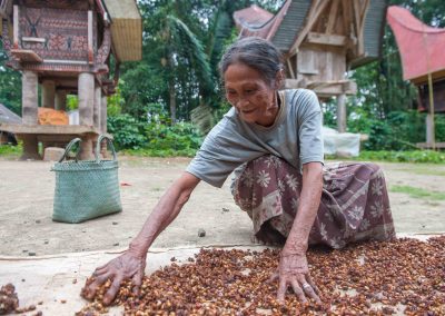 Tana Toraja