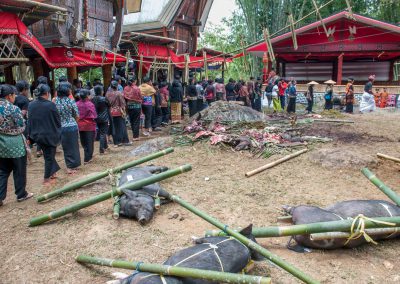 Tana Toraja